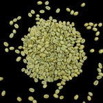 kava noir ethiopia guji hambela green coffee beans 5kg