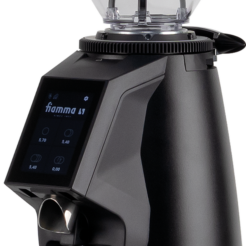 Elektra MACINADOSATORE CGD65 Touch Coffee Grinder