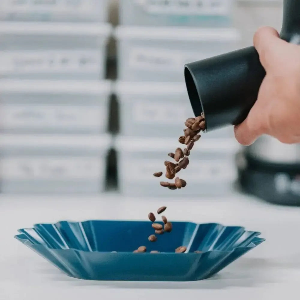 Rhino Bean Scoop 2 db468668 f085 432e 8666 754d7a7b8f3c