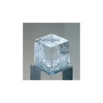 Hoshizaki Cube Ice 1