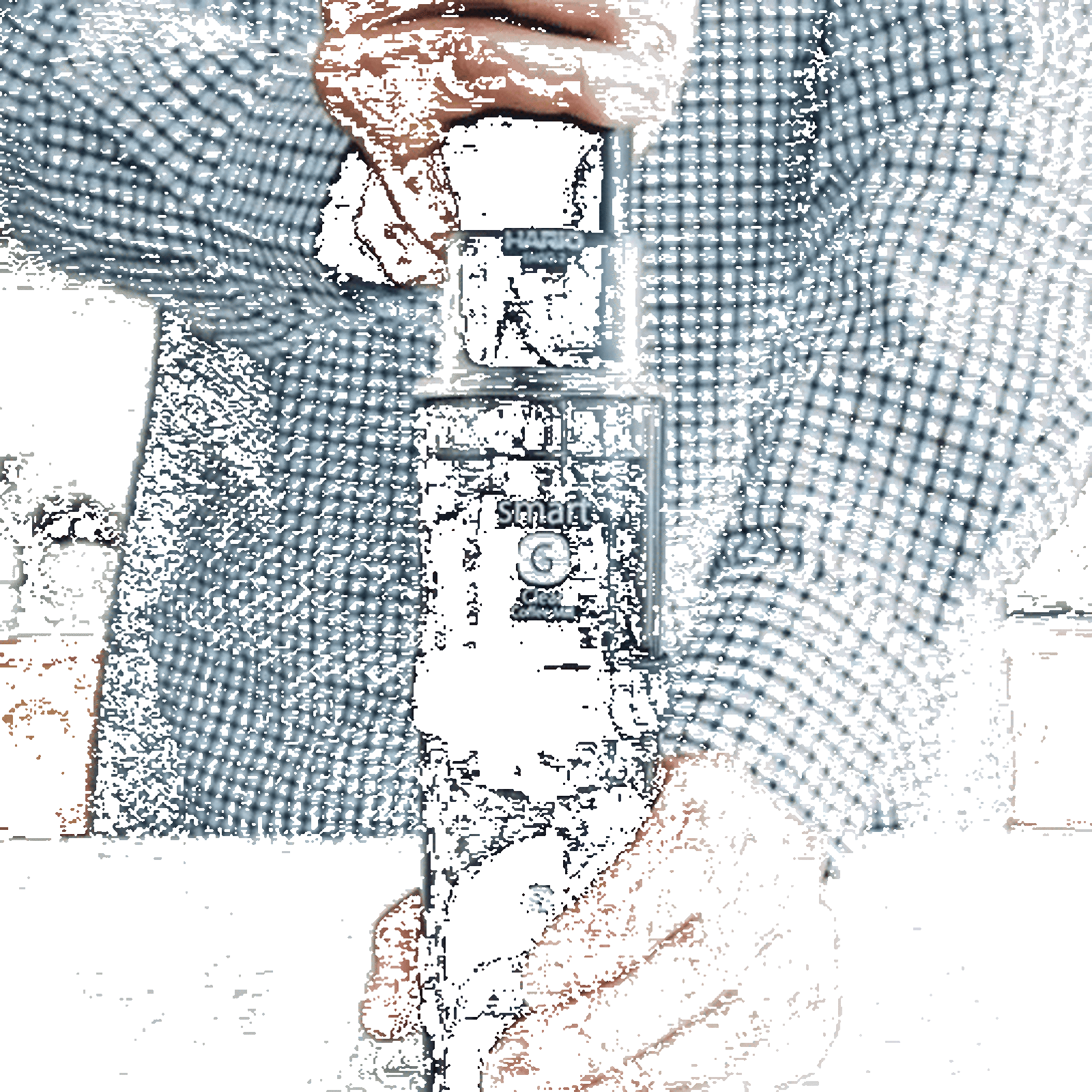 EMS 1B gif 51bc0138 e81c 451e 9826 188911091601