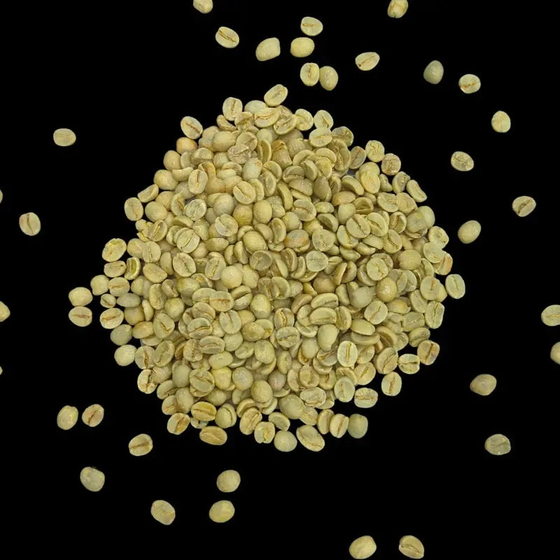 kavanoir brazil rio minas green 5kg
