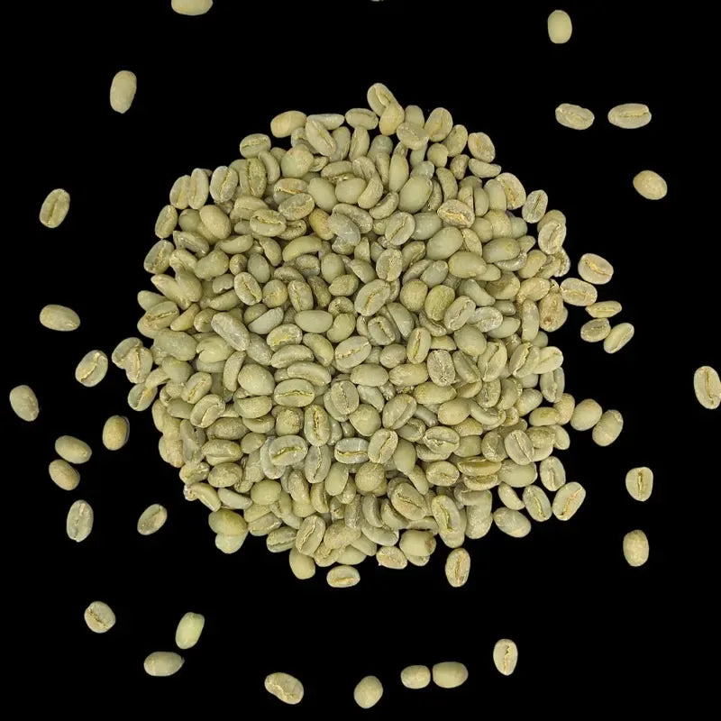 kava noir ethiopia sidamo kafa organic green coffee beans 5kg