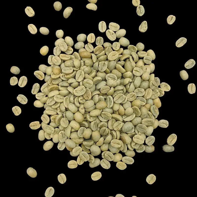 kava noir india plantation aa green coffee beans 5kg