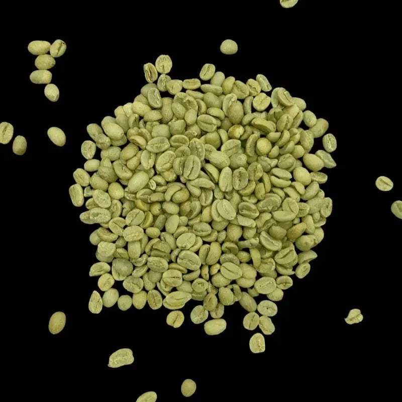 kava noir kenya aa green coffee beans 1kg 1