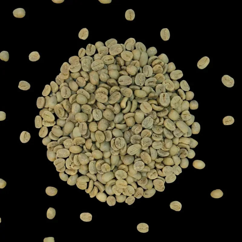 kava noir nicaragua screen20 green coffee beans 1kg